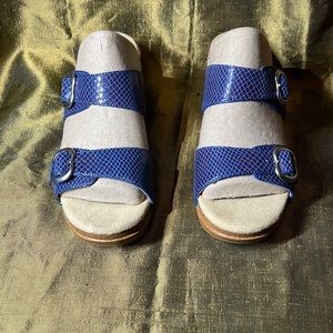 Dansko leather sandal with 2” heel.